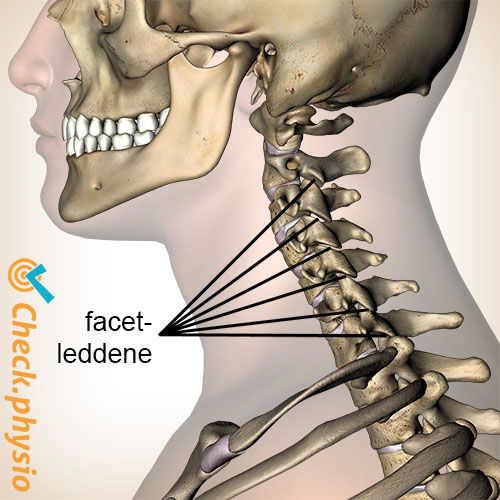 nakke facetled sidevisning lateral