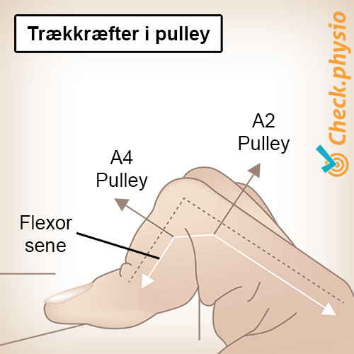 hånd fingerpulleys trækkræfter