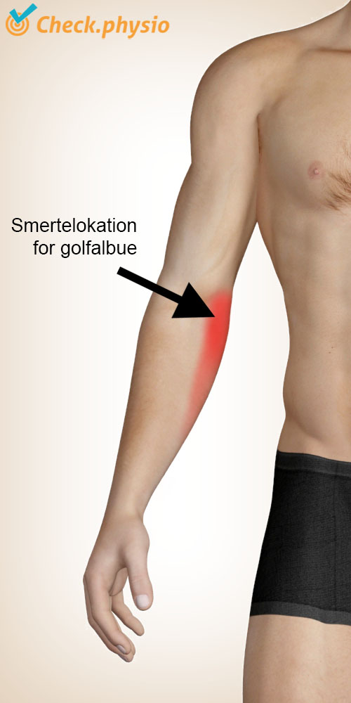 arm golfalbue placering